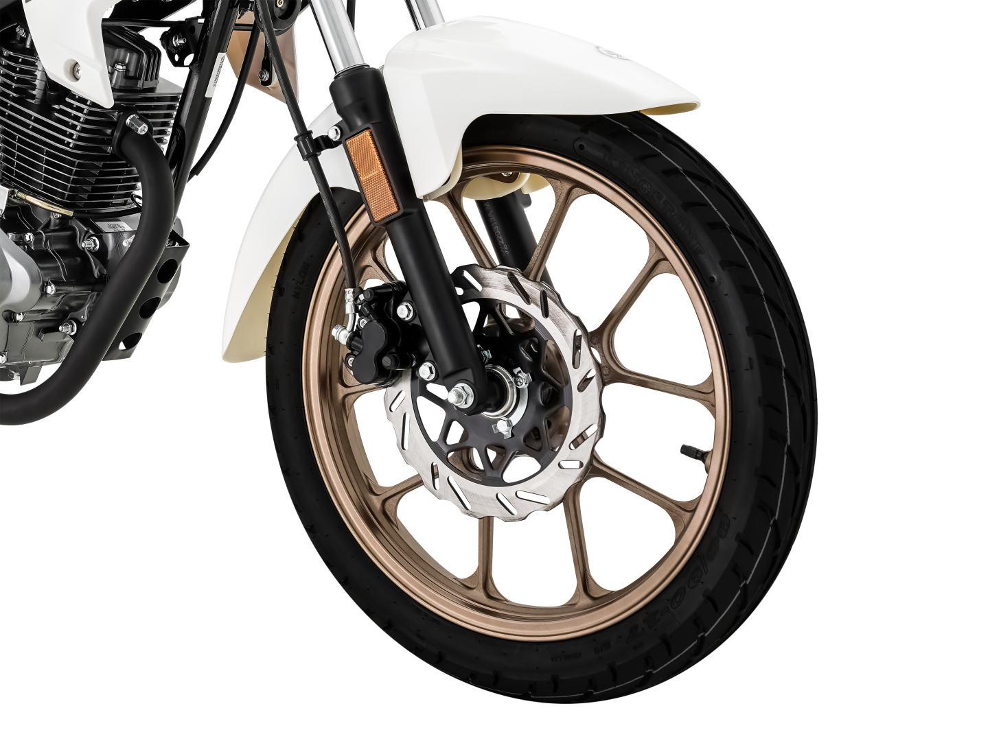 Freno de disco delantero